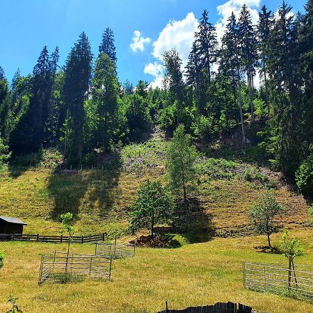 Ferienwohnung Bei Vogel Geroldsgrun Esterno foto