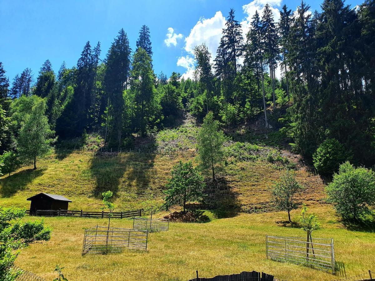 Ferienwohnung Bei Vogel Geroldsgrun Esterno foto